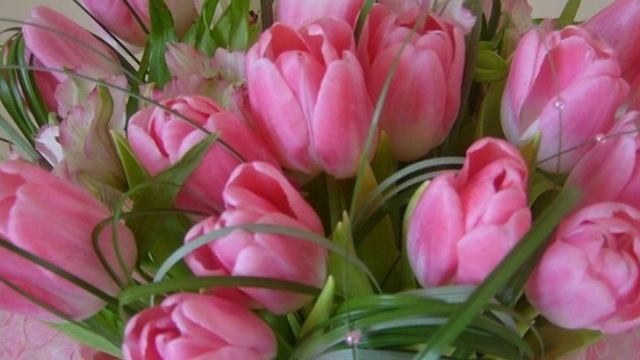 Любимому учителю смотреть онлайн