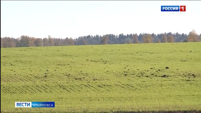 Благовещенье смотреть онлайн