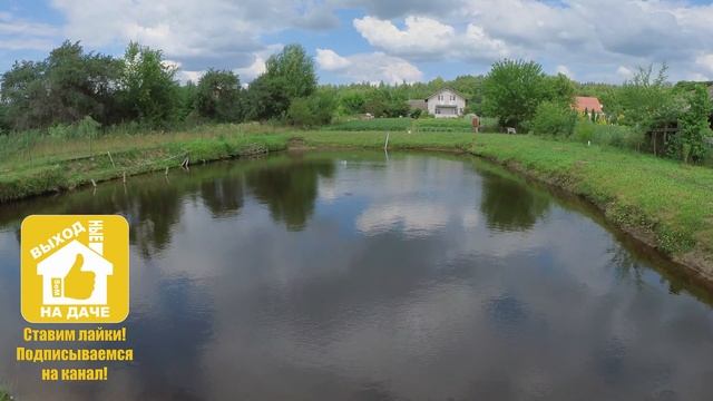 Солнечный окунь, заселение в пруд. Солнечник обыкновенный. Солнечная рыба. Царёк Lepomis Gibbosus 4