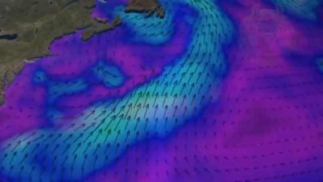 LE MEGALODON : LE PLUS GRAND REQUIN QUI AIT EXISTÉ … OU QUI EXISTE ENCORE ? | Lama Faché смотреть онлайн