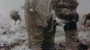 В честь ДНЯ ПОБЕДЫ посвящается моим родным и близким