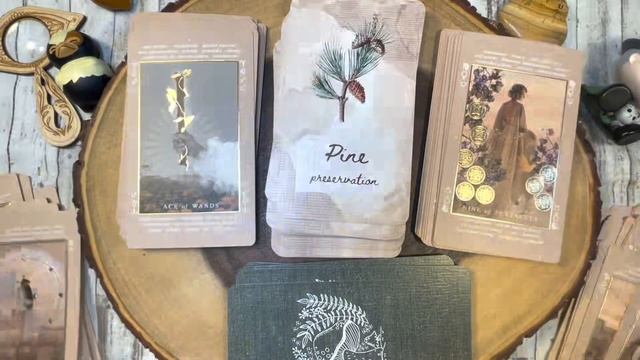Deck Duets: Cottage Witch Oracle @CrochetWitchTarot смотреть онлайн