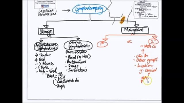 Mindmap: Approach to Lymphadenopathy смотреть онлайн