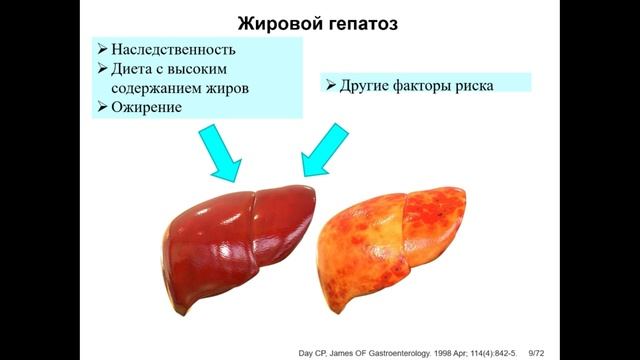 4.avi смотреть онлайн