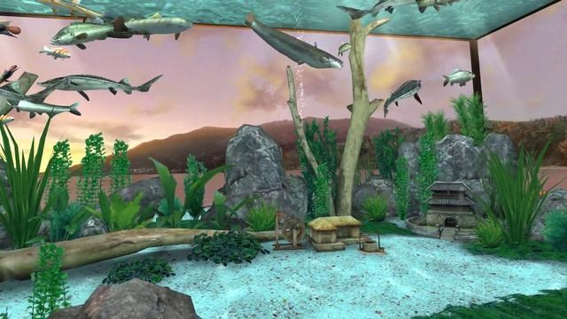 VR Aquarium смотреть онлайн