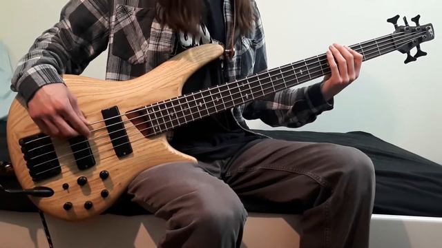 Tom Tom Club - Genius Of Love - Bass Cover (Tabs And Isolated Bass In Description)