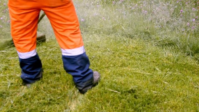 Setaria Grass and Avoiding Bighead in Horses смотреть онлайн