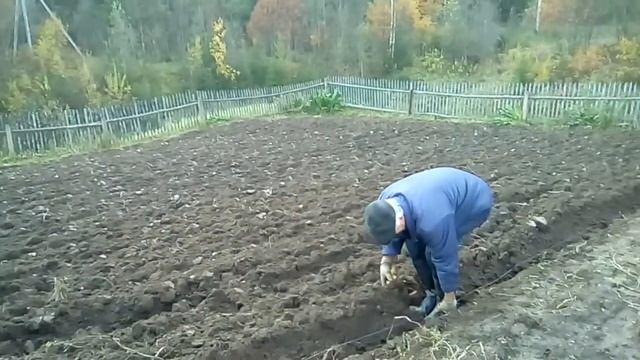 осенняя вспашка смотреть онлайн