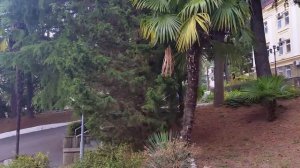 Санаторий МО РФ "Аврора"