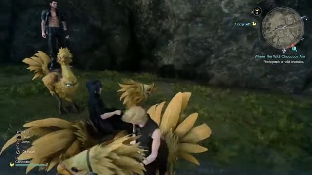 FFXV - Gladiolus the Chocobo Stunt Rider смотреть онлайн