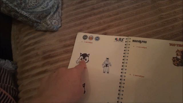 Наше первое соревнование по тхэквондо смотреть онлайн