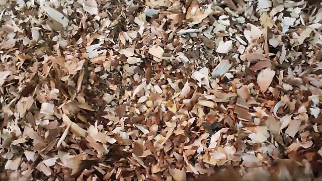 #Щепа для копчения! #копчения #щепа #яблоня 8-983-297-37-71. смотреть онлайн