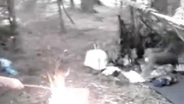 SEAL TEAM PRO | 7.62мм | Battle preparation MIX смотреть онлайн