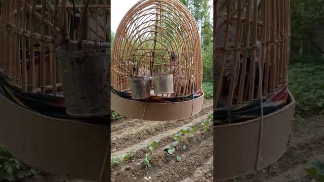 Овози кабк голос курапатка хониши кабк смотреть онлайн