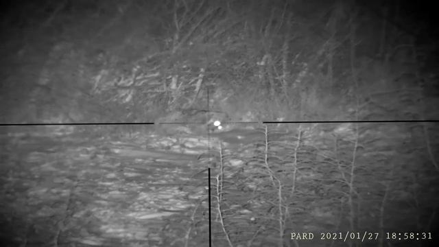 Testing rear add-on Pard 007 with Sightmark Citadel 3-18x50 смотреть онлайн