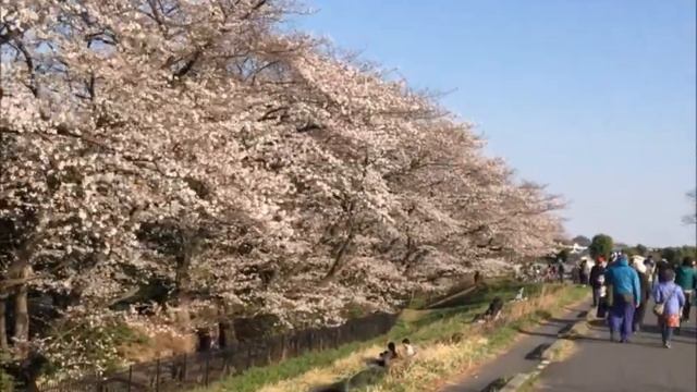 Michel Polnareff Tribute "Le Prince En Otage" by ROY смотреть онлайн