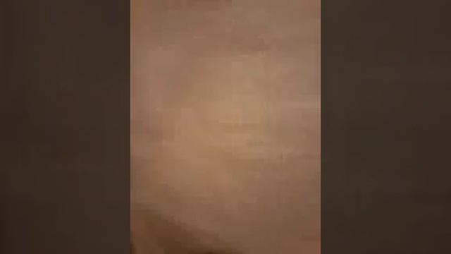 Собака МОНИКА !!!!!!!! +1 смотреть онлайн