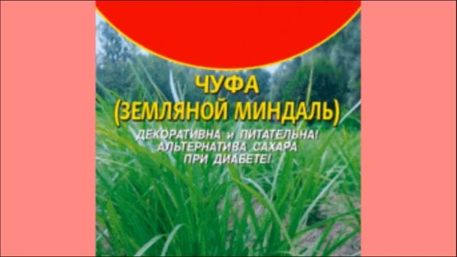 Чуфа- земляной миндаль смотреть онлайн