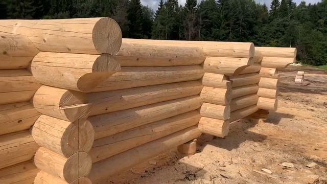 Обзор сруба для Владимира и Ольги от 15.08.2020 Сямженский лес смотреть онлайн