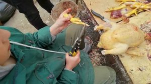 КАК ПРАВИЛЬНО ОЩИПАТЬ И ВЫПОТРОШИТЬ КУРИЦУ?МАСТЕР КЛАСС