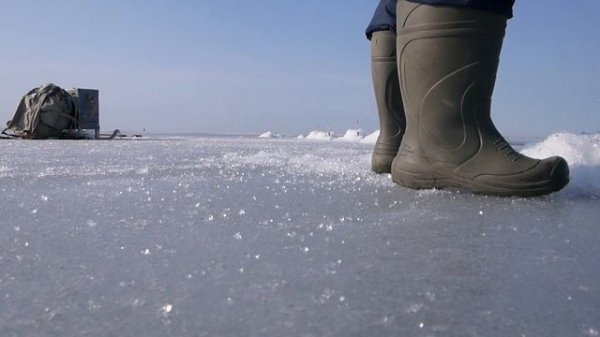 Ловля корюшки на Финском заливе Комарово Верунчик и glavmex.ru 28.03.2021