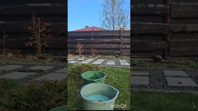 Осенняя обработка бордосской жидкостью 3%?