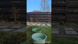 Осенняя обработка бордосской жидкостью 3%?