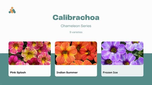 What Plants are New for 2024 смотреть онлайн