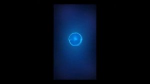 заставка huawei