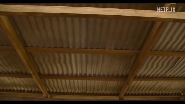 Вуди Вудпекер