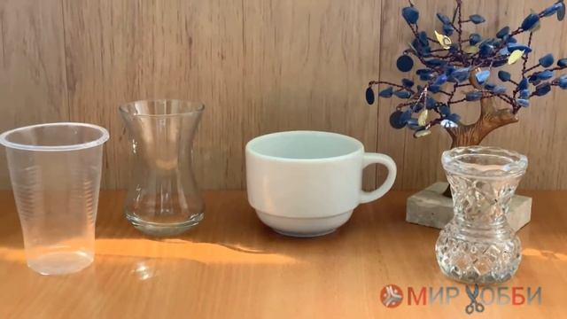 Фикус Бенджамина для "любителей" смотреть онлайн