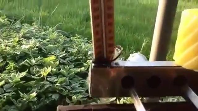 Экстремальная эксплуатация, шашлычницы. смотреть онлайн