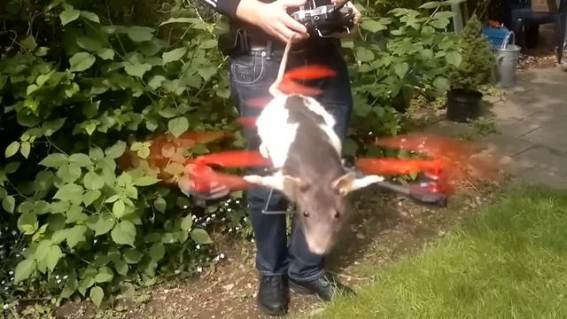 First flight Ratcopter смотреть онлайн