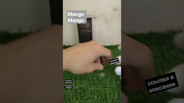 Духи Монталь Манго Манга - Montale Mango Manga | Женский парфюм #тестершоп #мангоманго смотреть онлайн