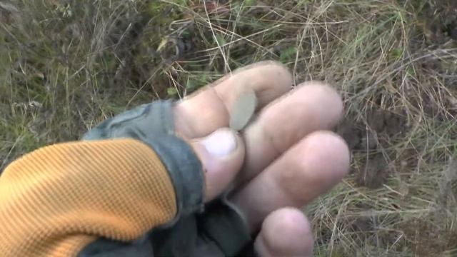 Закрытие сезона ....Minelab E-Trac. смотреть онлайн