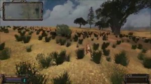 Друг человека - Найти и покормить собаку.