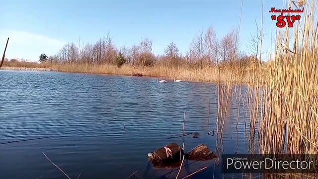 КРАСНОПЕРКА ВЕСНОЙ. РЫБАЛКА НА ОЗЕРЕ. СУПЕР ПОКЛЁВКИ ПРОСТО КАЙФ. ОТКРЫЛИ СЕЗОН 2022. смотреть онлайн