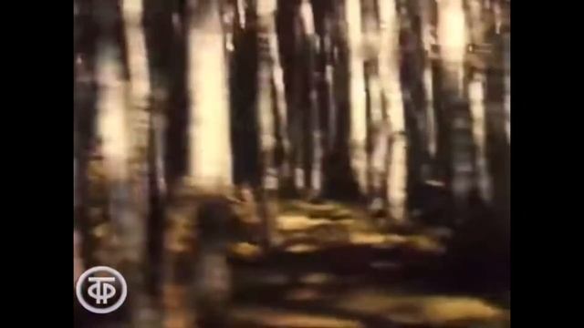 Эх, любовь-калинушка... С.Есенин Т.Доронина смотреть онлайн