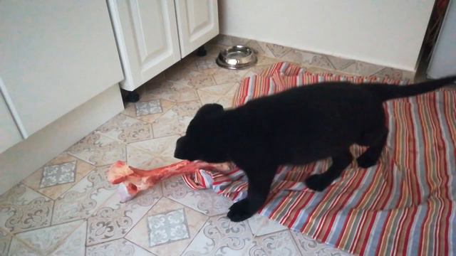 Мишаня смотреть онлайн