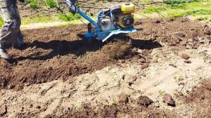 Обработка земли фрезами под грядки мотоблоком Нева.