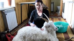 Уникальный метод чески коз