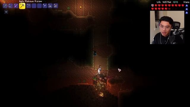 This Terraria Mod Finally Released... (Starlight River Mod) смотреть онлайн