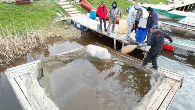 Запуск осетра 30 апреля смотреть онлайн