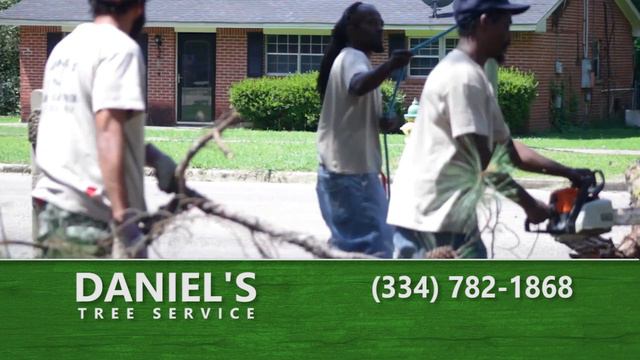Daniel's Tree Service смотреть онлайн
