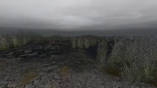 Dsh Mod: день 30. Болота. Второй заход. Калмык, пулемет для Свиблова, Дэн