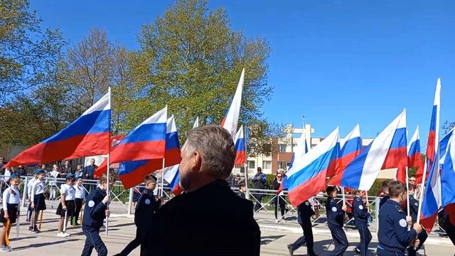 Кошку напугали и она дала деру смотреть онлайн
