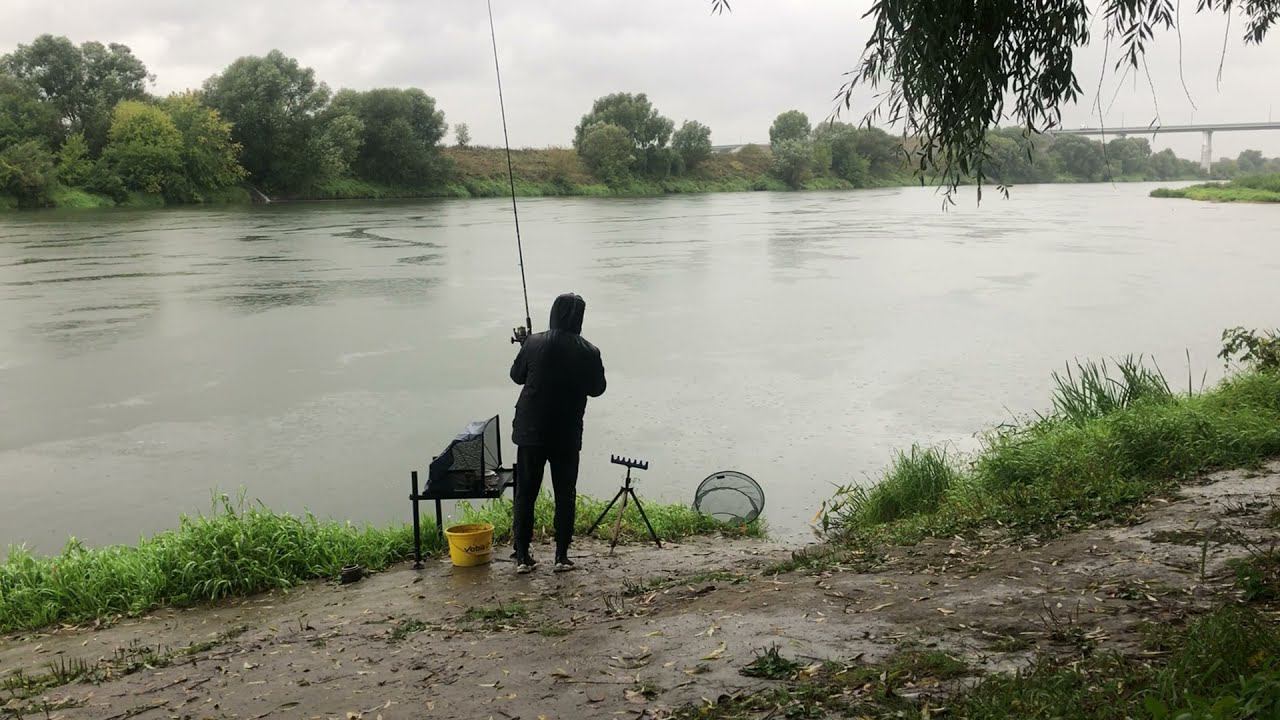Рыбалка НА ОКЕ ОСЕНЬЮ / Проливной ливень , Рыба уходит на глубину смотреть онлайн