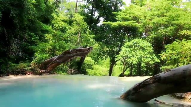 Красивая Фортепианная Музыка: Романтическая Расслабляющая Музыка, Позитивная Музыка, Снятие Стресса смотреть онлайн