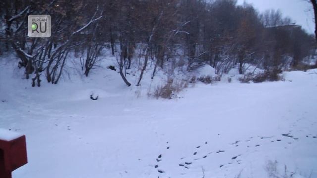 В старицу реки Битевка в ЦПКиО попали сточные воды. Специалисты ищут причину смотреть онлайн