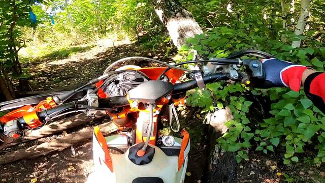 Шотский лес Серебро 2т ланза 2024